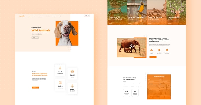 Introducing FREE Animal Welfare Joomla Template Kit for JD Builder Pro