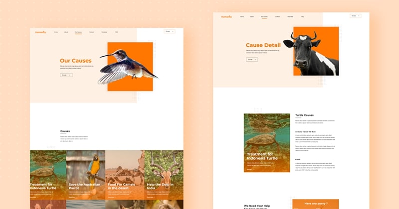 Introducing FREE Animal Welfare Joomla Template Kit for JD Builder Pro