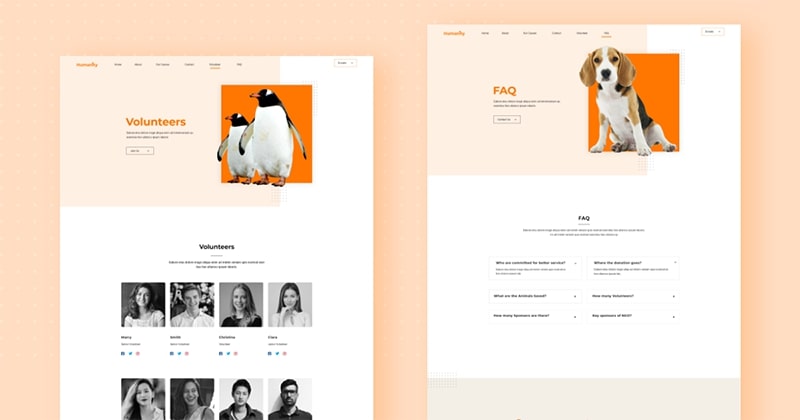 Introducing FREE Animal Welfare Joomla Template Kit for JD Builder Pro